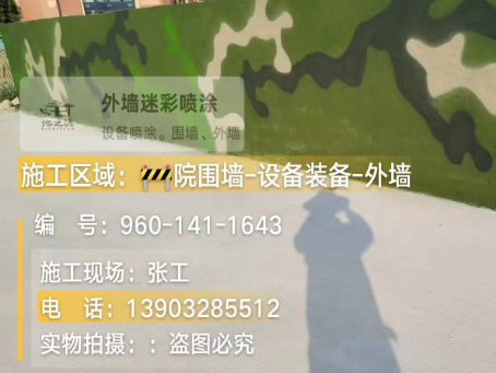 安庆 迷彩漆喷涂价格（按平方米计费）