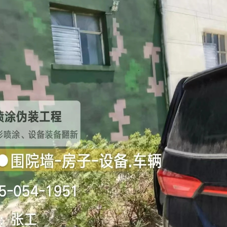 安庆数码迷彩漆施工